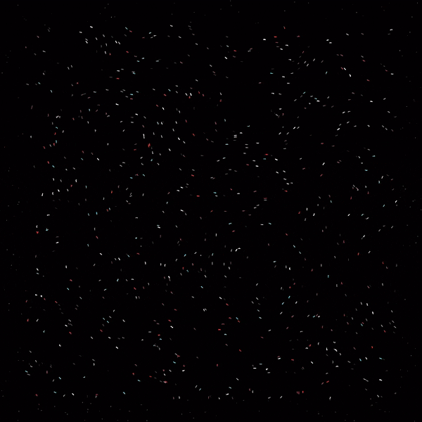 Large Design Project